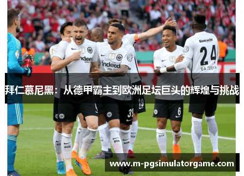 拜仁慕尼黑：从德甲霸主到欧洲足坛巨头的辉煌与挑战