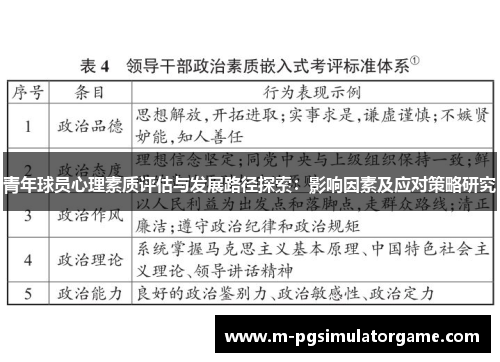 青年球员心理素质评估与发展路径探索：影响因素及应对策略研究