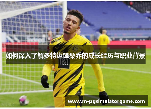 如何深入了解多特边锋桑乔的成长经历与职业背景
