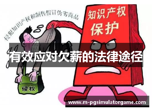 有效应对欠薪的法律途径