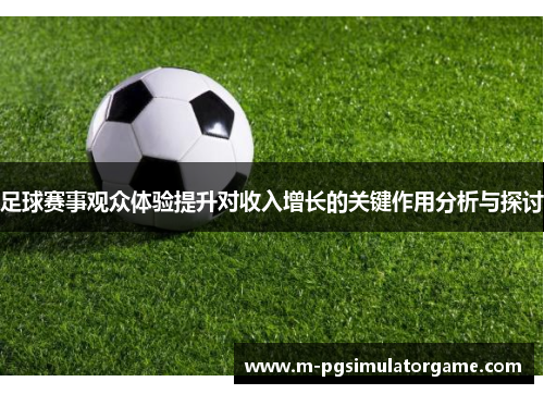 足球赛事观众体验提升对收入增长的关键作用分析与探讨