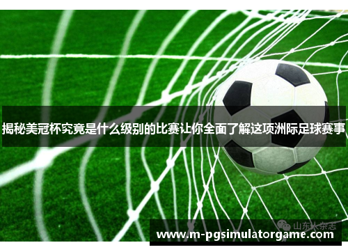 揭秘美冠杯究竟是什么级别的比赛让你全面了解这项洲际足球赛事