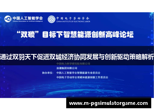 通过双羽天下促进双城经济协同发展与创新驱动策略解析